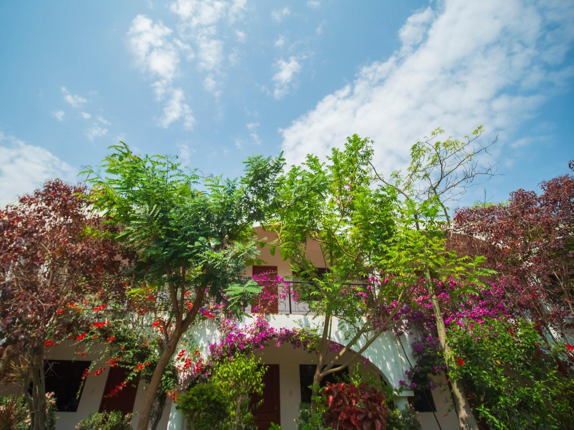 Casa Hotel Mamaluna Лунауана Екстер'єр фото