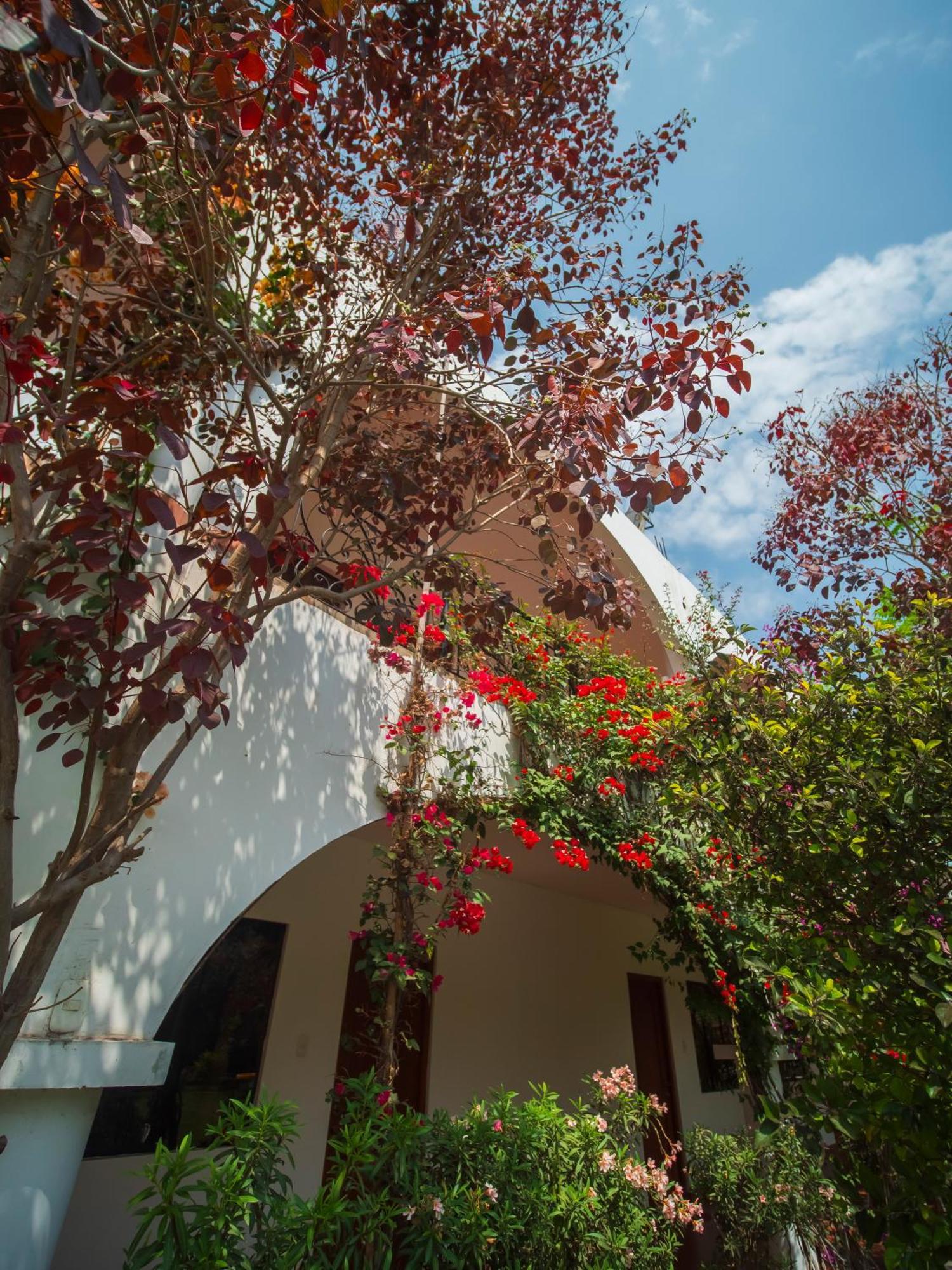 Casa Hotel Mamaluna Лунауана Екстер'єр фото